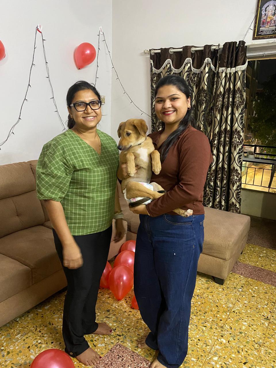 Kishmish with their forever family