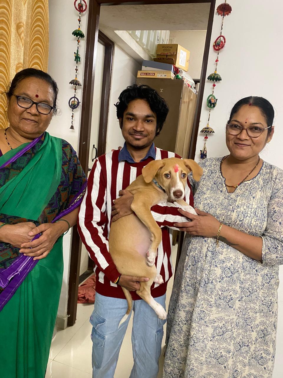 Bunny with their forever family