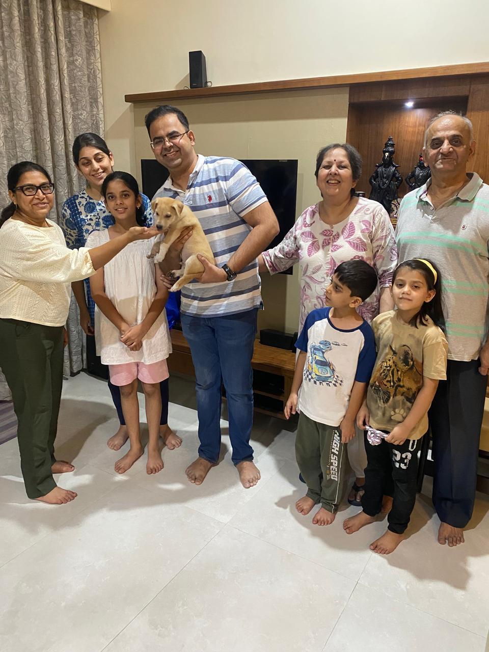 Milo with their forever family